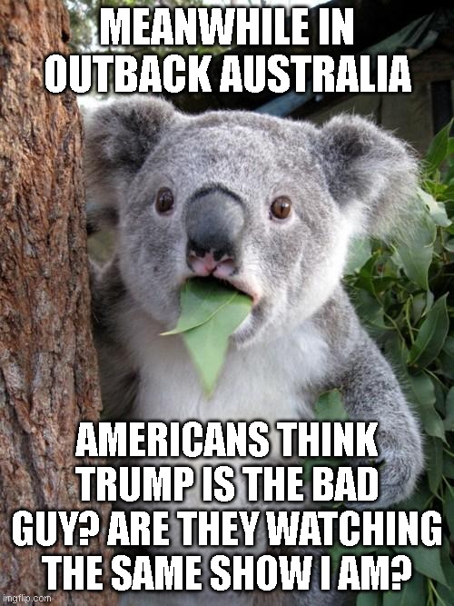 OZZIE'S SHOCKED! | MEANWHILE IN OUTBACK AUSTRALIA; AMERICANS THINK TRUMP IS THE BAD GUY? ARE THEY WATCHING THE SAME SHOW I AM? | image tagged in memes,surprised koala,donaldtrump,wake up | made w/ Imgflip meme maker