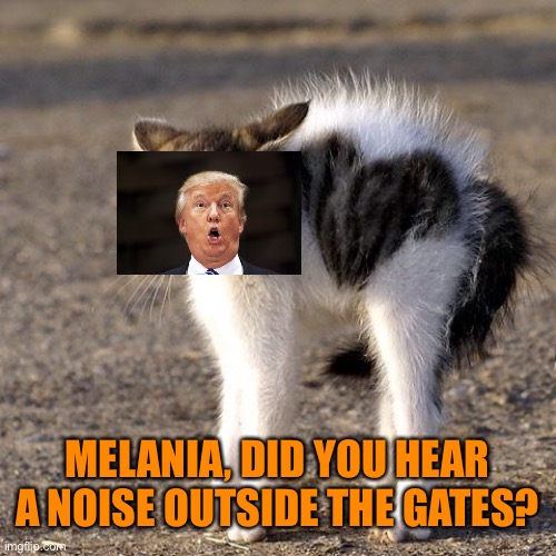 MELANIA, DID YOU HEAR A NOISE OUTSIDE THE GATES? | made w/ Imgflip meme maker
