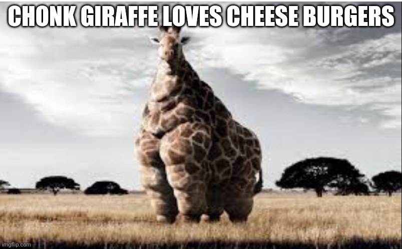 Chonk giraffe | CHONK GIRAFFE LOVES CHEESE BURGERS | image tagged in chonk giraffe | made w/ Imgflip meme maker