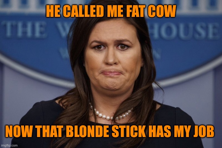 HE CALLED ME FAT COW NOW THAT BLONDE STICK HAS MY JOB | made w/ Imgflip meme maker