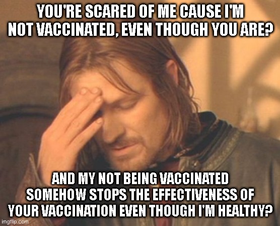 Vaccination headaches! | YOU'RE SCARED OF ME CAUSE I'M NOT VACCINATED, EVEN THOUGH YOU ARE? AND MY NOT BEING VACCINATED SOMEHOW STOPS THE EFFECTIVENESS OF YOUR VACCINATION EVEN THOUGH I'M HEALTHY? | image tagged in memes,frustrated boromir,vaccines | made w/ Imgflip meme maker