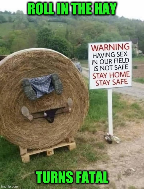 Always read the warning signs | ROLL IN THE HAY; TURNS FATAL | image tagged in rolled hay,last love | made w/ Imgflip meme maker