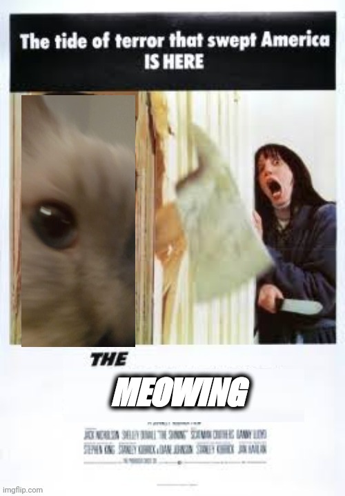 Terror is a four legged monster | MEOWING | image tagged in memes,funny cats,cats,the shining | made w/ Imgflip meme maker