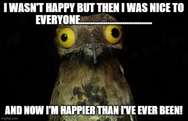 Happy Bird | I WASN'T HAPPY BUT THEN I WAS NICE TO EVERYONE.................................. AND NOW I'M HAPPIER THAN I'VE EVER BEEN! | image tagged in memes,weird stuff i do potoo,kindness,happiness | made w/ Imgflip meme maker