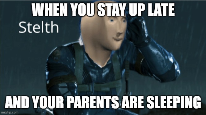 Staying Awake | WHEN YOU STAY UP LATE; AND YOUR PARENTS ARE SLEEPING | image tagged in stelth | made w/ Imgflip meme maker