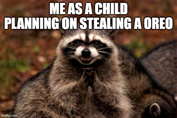 Evil Plotting Raccoon | ME AS A CHILD PLANNING ON STEALING A OREO | image tagged in memes,evil plotting raccoon | made w/ Imgflip meme maker