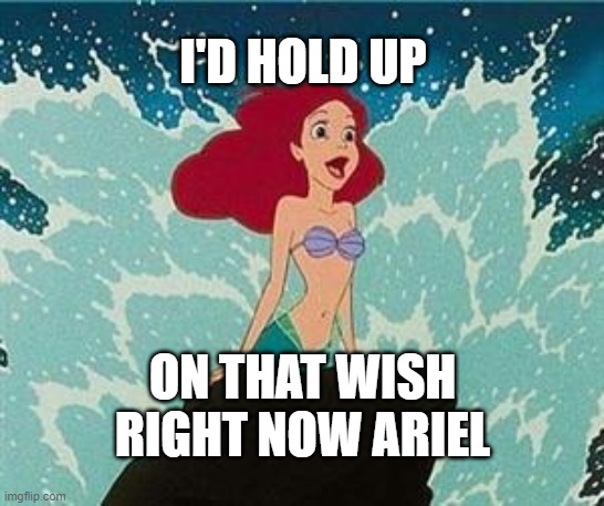 Ariel | I'D HOLD UP; ON THAT WISH RIGHT NOW ARIEL | image tagged in ariel | made w/ Imgflip meme maker