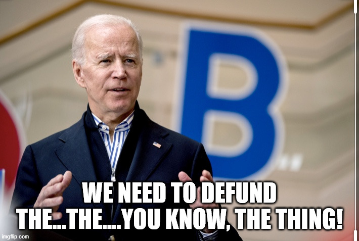 Defund The Thing | WE NEED TO DEFUND THE...THE....YOU KNOW, THE THING! | image tagged in confused joe biden | made w/ Imgflip meme maker