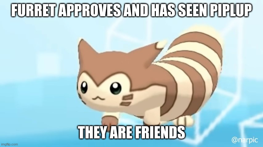 Furret Walcc | FURRET APPROVES AND HAS SEEN PIPLUP THEY ARE FRIENDS | image tagged in furret walcc | made w/ Imgflip meme maker