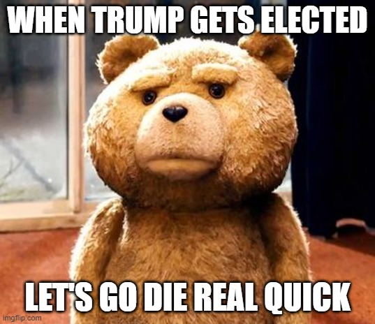 TED | WHEN TRUMP GETS ELECTED; LET'S GO DIE REAL QUICK | image tagged in memes,ted | made w/ Imgflip meme maker