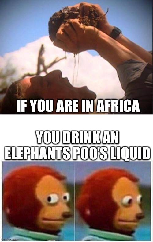IF YOU ARE IN AFRICA; YOU DRINK AN ELEPHANTS POO’S LIQUID | image tagged in memes,monkey puppet | made w/ Imgflip meme maker