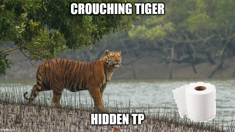 Can a Tiger Change His Stripes? Is Two Pie Are Round? | CROUCHING TIGER; HIDDEN TP | image tagged in tp,toilet roll,tiger,national security | made w/ Imgflip meme maker