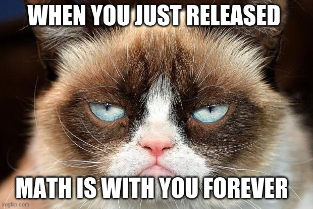 Grumpy Cat Not Amused | WHEN YOU JUST RELEASED; MATH IS WITH YOU FOREVER | image tagged in memes,grumpy cat not amused,grumpy cat | made w/ Imgflip meme maker
