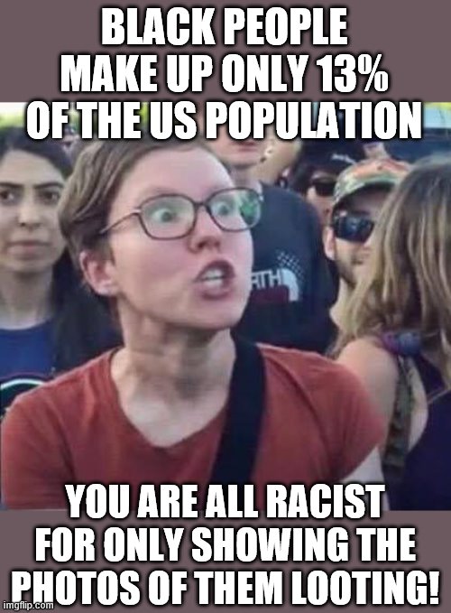 Angry Liberal | BLACK PEOPLE MAKE UP ONLY 13% OF THE US POPULATION YOU ARE ALL RACIST FOR ONLY SHOWING THE PHOTOS OF THEM LOOTING! | image tagged in angry liberal | made w/ Imgflip meme maker