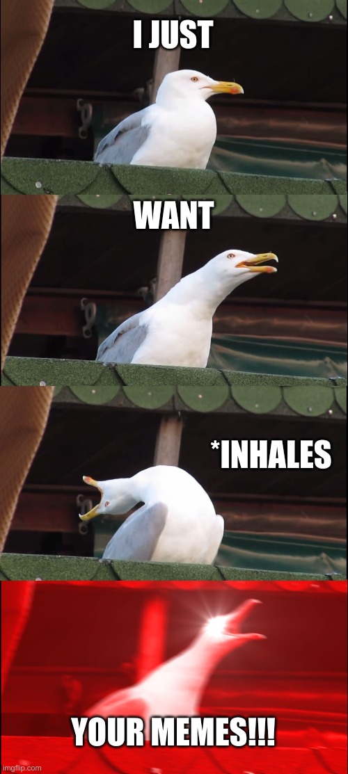 Copycats be like | I JUST; WANT; *INHALES; YOUR MEMES!!! | image tagged in memes,inhaling seagull | made w/ Imgflip meme maker