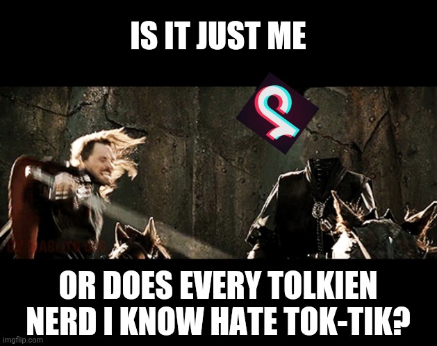 Also, is it just me, or does every VSCO girl I know not want to read LOTR? | IS IT JUST ME; OR DOES EVERY TOLKIEN NERD I KNOW HATE TOK-TIK? | image tagged in aragorn,lord of the rings,tik tok | made w/ Imgflip meme maker