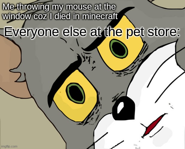 Unsettled Tom | Me throwing my mouse at the window coz I died in minecraft; Everyone else at the pet store: | image tagged in memes,unsettled tom | made w/ Imgflip meme maker