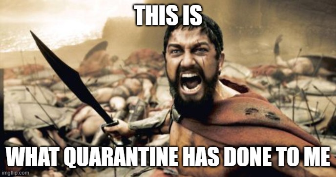 Sparta Leonidas | THIS IS; WHAT QUARANTINE HAS DONE TO ME | image tagged in memes,sparta leonidas | made w/ Imgflip meme maker