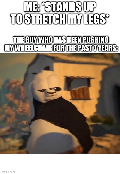 Drunk Kung Fu Panda | ME: *STANDS UP TO STRETCH MY LEGS*; THE GUY WHO HAS BEEN PUSHING MY WHEELCHAIR FOR THE PAST 7 YEARS: | image tagged in drunk kung fu panda | made w/ Imgflip meme maker