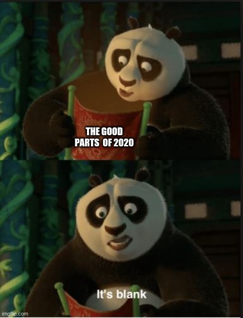 Its Blank | THE GOOD PARTS  OF 2020 | image tagged in its blank | made w/ Imgflip meme maker