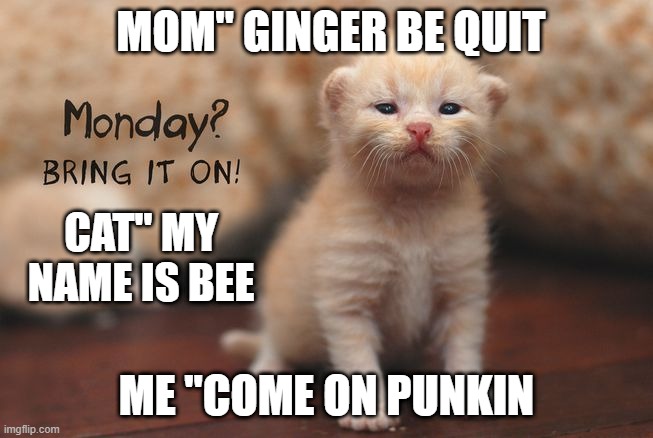 lol | MOM" GINGER BE QUIT; CAT" MY NAME IS BEE; ME "COME ON PUNKIN | image tagged in memes | made w/ Imgflip meme maker