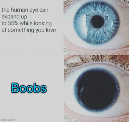 Boobs | made w/ Imgflip meme maker