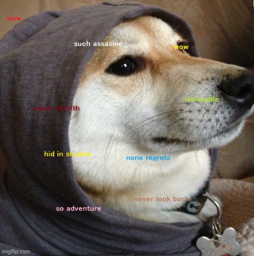 image tagged in doge | made w/ Imgflip meme maker