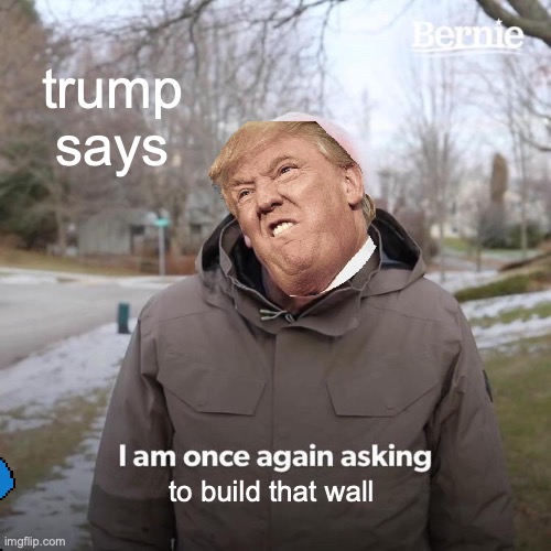 Bernie I Am Once Again Asking For Your Support Meme | trump says; to build that wall | image tagged in memes,bernie i am once again asking for your support | made w/ Imgflip meme maker