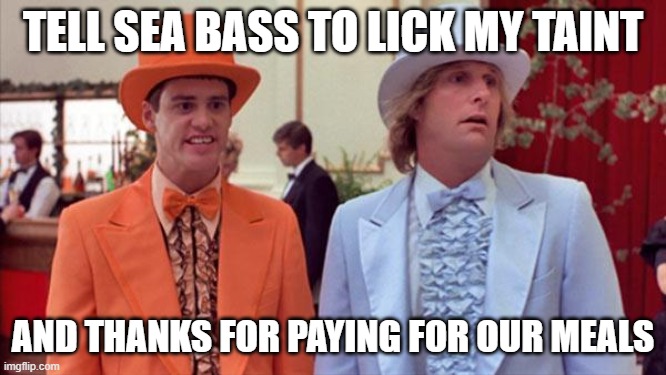 dumb and dumber | TELL SEA BASS TO LICK MY TAINT AND THANKS FOR PAYING FOR OUR MEALS | image tagged in dumb and dumber | made w/ Imgflip meme maker