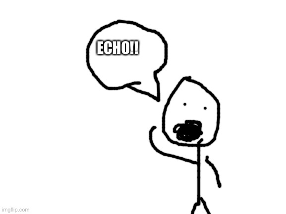E_c_h_o | ECHO!! | image tagged in blank white template | made w/ Imgflip meme maker