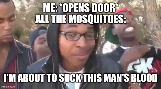 I'm about to end this man's whole career |  ME: *OPENS DOOR*
ALL THE MOSQUITOES:; I'M ABOUT TO SUCK THIS MAN'S BLOOD | image tagged in i'm about to end this man's whole career | made w/ Imgflip meme maker