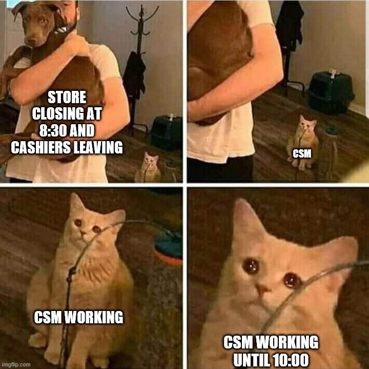 Working during lockdown | STORE CLOSING AT 8:30 AND CASHIERS LEAVING; CSM; CSM WORKING; CSM WORKING UNTIL 10:00 | image tagged in sad cat holding dog,walmart,cat,csm,cashier | made w/ Imgflip meme maker