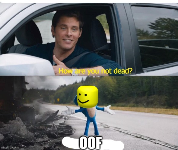 sonic how are you not dead | OOF | image tagged in sonic how are you not dead | made w/ Imgflip meme maker