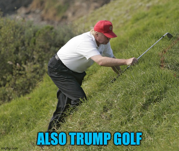 trump golfing | ALSO TRUMP GOLF | image tagged in trump golfing | made w/ Imgflip meme maker