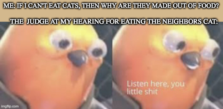 Cats | ME: IF I CAN'T EAT CATS, THEN WHY ARE THEY MADE OUT OF FOOD? THE  JUDGE AT MY HEARING FOR EATING THE NEIGHBORS CAT: | image tagged in listen here you little shit bird | made w/ Imgflip meme maker