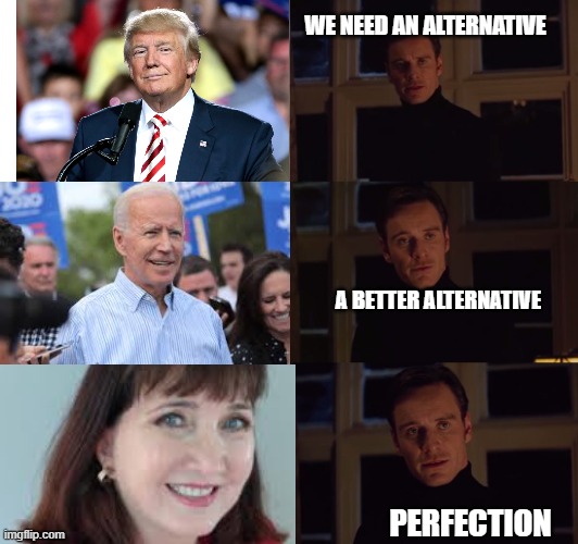 Voting Choice | WE NEED AN ALTERNATIVE; A BETTER ALTERNATIVE; PERFECTION | image tagged in perfection | made w/ Imgflip meme maker