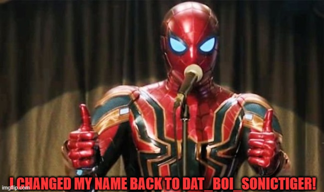 Finally! | I CHANGED MY NAME BACK TO DAT_BOI_SONICTIGER! | image tagged in spider-man thumbs up,imgflip | made w/ Imgflip meme maker