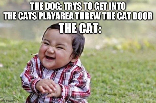 Evil Toddler | THE DOG: TRYS TO GET INTO THE CATS PLAYAREA THREW THE CAT DOOR; THE CAT: | image tagged in memes,evil toddler | made w/ Imgflip meme maker