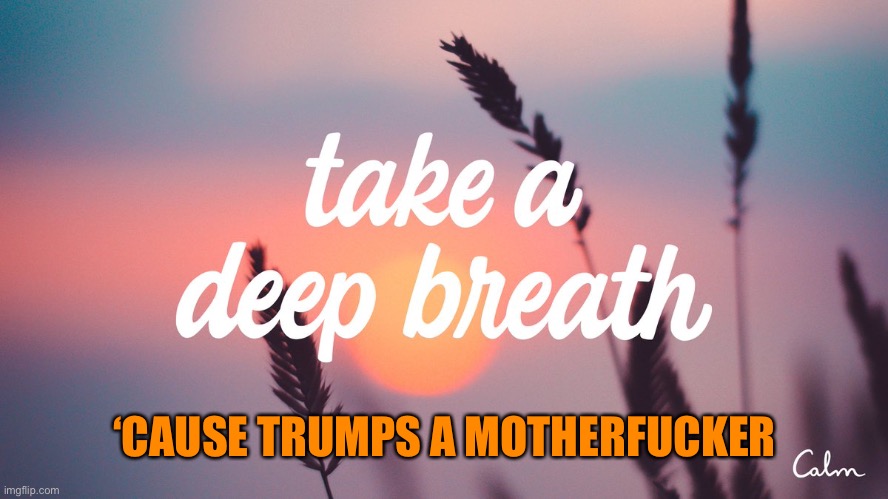 ‘CAUSE TRUMPS A MOTHERFUCKER | made w/ Imgflip meme maker