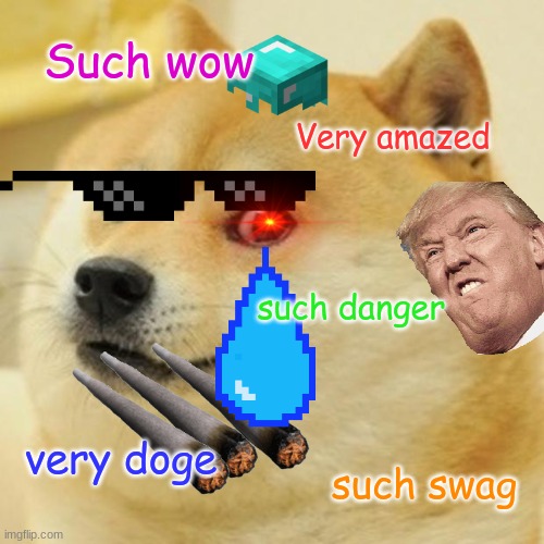 Doge Meme | Such wow; Very amazed; such danger; very doge; such swag | image tagged in memes,doge | made w/ Imgflip meme maker