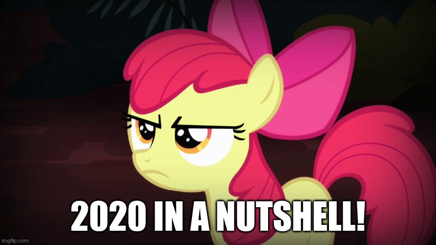 Angry Applebloom | 2020 IN A NUTSHELL! | image tagged in angry applebloom | made w/ Imgflip meme maker