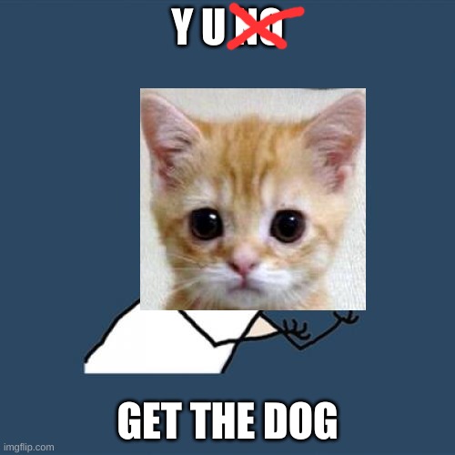 Y U No Meme | Y U NO; GET THE DOG | image tagged in memes,y u no | made w/ Imgflip meme maker
