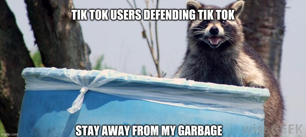 Tik tok is stupid and cringe | TIK TOK USERS DEFENDING TIK TOK; STAY AWAY FROM MY GARBAGE | image tagged in tik tok | made w/ Imgflip meme maker