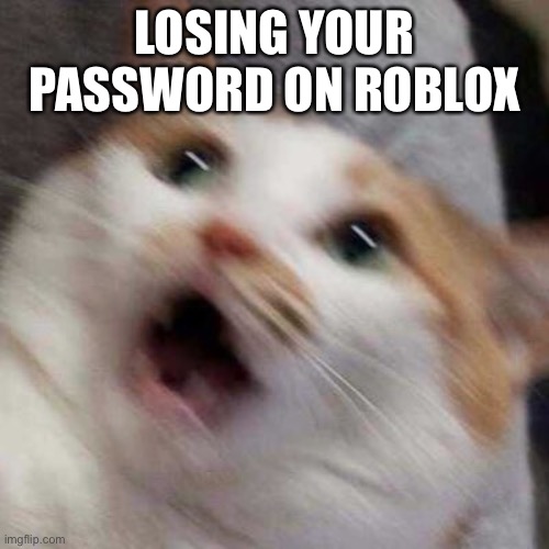 Oh no Cat | LOSING YOUR PASSWORD ON ROBLOX | image tagged in oh no cat | made w/ Imgflip meme maker