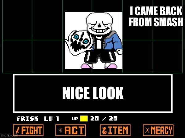 :) | I CAME BACK FROM SMASH; NICE LOOK | image tagged in undertale | made w/ Imgflip meme maker