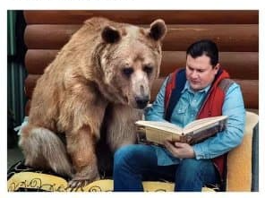 Bear Reading Blank Meme Template