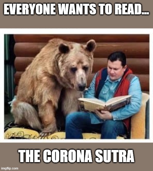 What Bears like | EVERYONE WANTS TO READ... THE CORONA SUTRA | image tagged in bear reading | made w/ Imgflip meme maker