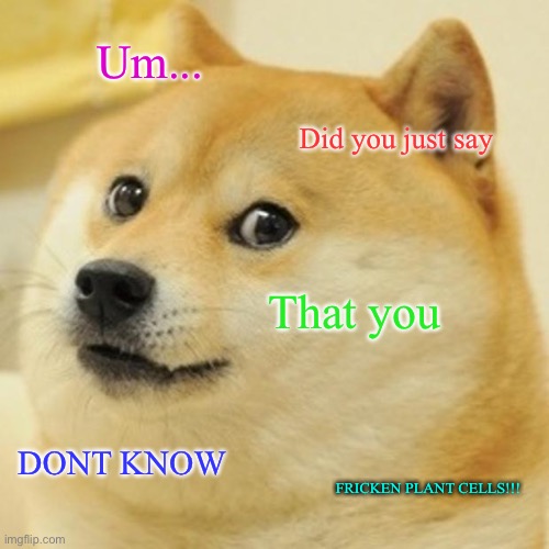 The plant cell agony | Um... Did you just say; That you; DONT KNOW; FRICKEN PLANT CELLS!!! | image tagged in memes,doge | made w/ Imgflip meme maker