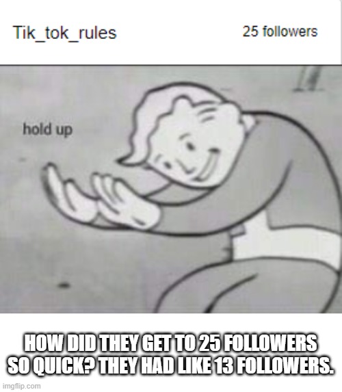 We are following it or they are follow-botting | HOW DID THEY GET TO 25 FOLLOWERS SO QUICK? THEY HAD LIKE 13 FOLLOWERS. | image tagged in fallout hold up | made w/ Imgflip meme maker