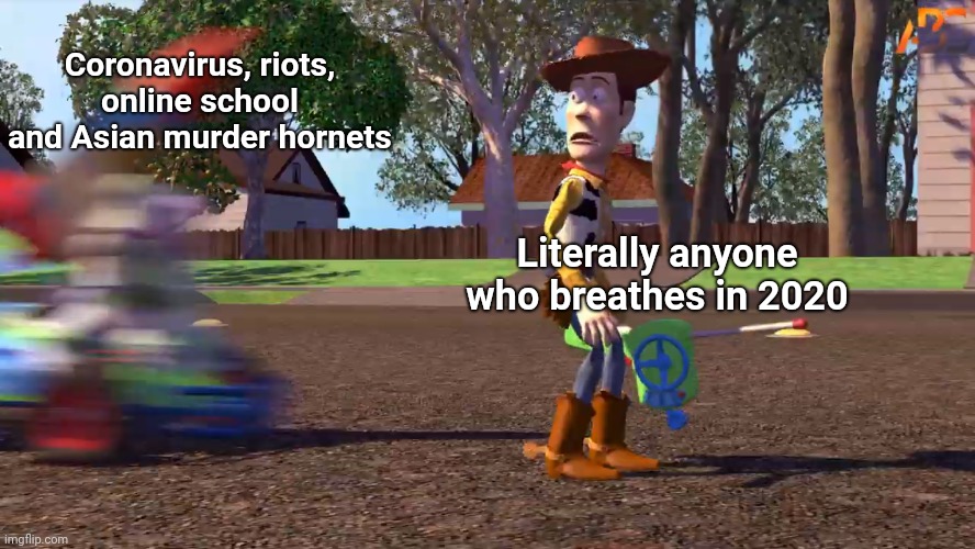 Thought that I'd try out a different meme template | Coronavirus, riots, online school and Asian murder hornets; Literally anyone who breathes in 2020 | image tagged in toy story,woody gets hit by buzz,2020,coronavirus,online school,memes | made w/ Imgflip meme maker